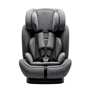 Forward Facing Seat